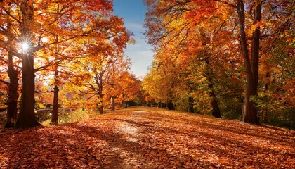Fototapeta premium Autumn Landscape With Path Covered In Colorful Leaves