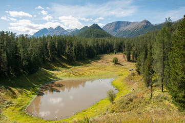 Picturesque Altai wilderness in late august with green forests and mountain peaks, Russian Federation