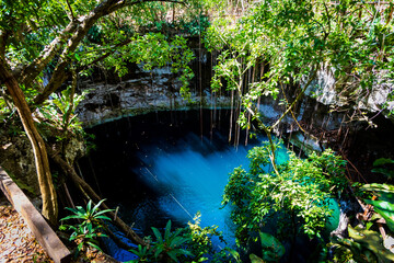 Cenote Secreto Maya Mexico 