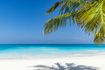 Relaxing beach scenic tropical island paradise with green palm leaves soft white sand sunny blue sky horizon calm sea summer vacation exotic seascape minimal nature background perfect wall art design