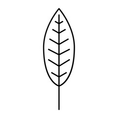 Long Oval Leaf outline icon