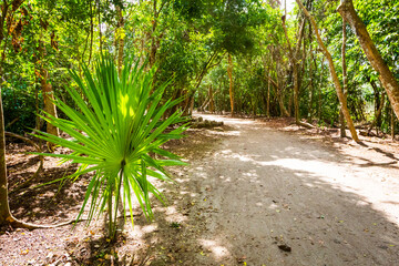 Coba pyramids archeological site in Mexico