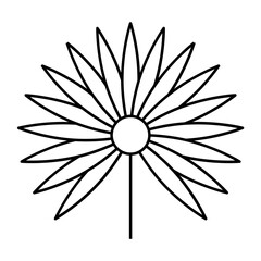 Daisy Flower outline icon