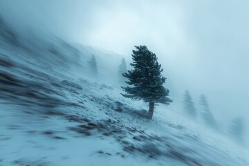 Lone Tree in a Winter Blizzard - A Study in Resilience.