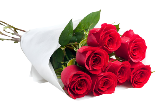 Romantic gift red roses bouquet wrapped in white paper graceful roses presentation for romantic events special day flower arrangement beautiful fresh flowers love and romance