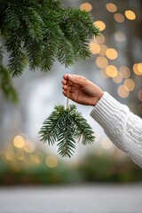 Hand gracefully holds fresh evergreen sprigs amidst soft glowing