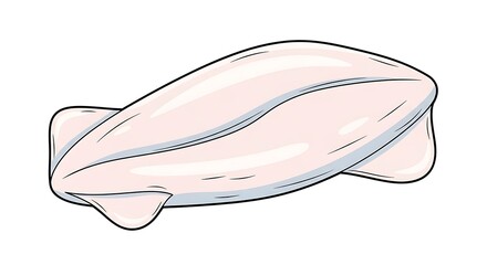 Raw Cuttlefish Fillet Isolated on White Background.