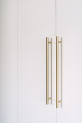 Minimalist wardrobe design features elegant gold door handles for modern interiors