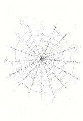 Obraz premium Spider web in a Photorealistic Sketch Style with Detailed Thread Texture and Fine Dust Particles; the web should present subtle sheen and minute spatter on a pristine white background for a tactile fe