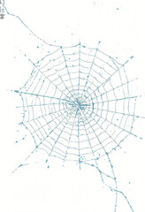 Obraz premium Graphic Element of Spider Web with Paper Texture