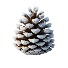 Frosted pine cone with intricate details and a white background, perfect for winter themes