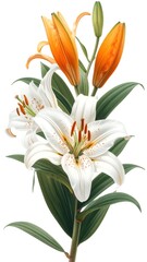 Obraz premium White lily bloom surrounded by orange petals high resolution photo