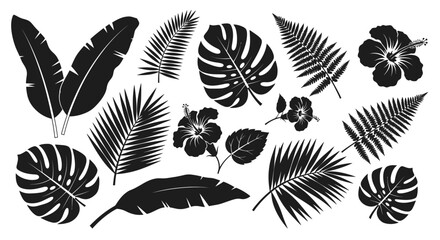 Elegant Tropical Silhouette Collection: Botanical Illustrations for Design Projects