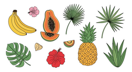 Tropical illustration featuring fresh fruits, vibrant flowers and lush green leaves on white