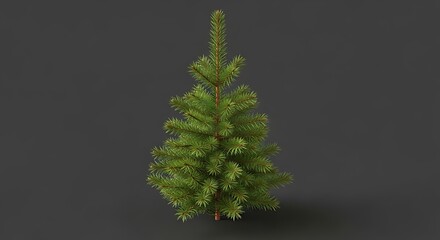 Green Christmas Tree Illustration.