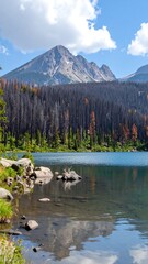Serene mountain lake reflecting a majestic peak, surrounded by a forest recovering from a fire