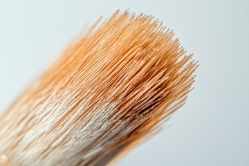 Close-up macro photo of a brush's textured bristles, featuring warm, natural tones. White residue subtly indicates past creative or artistic application.