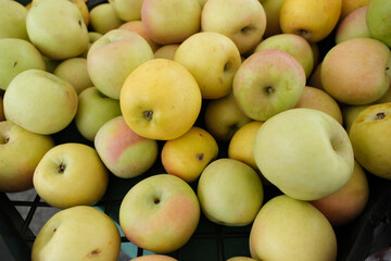 Collection of fresh apples piled together on a green tray or crate, likely at a market or produce stand.