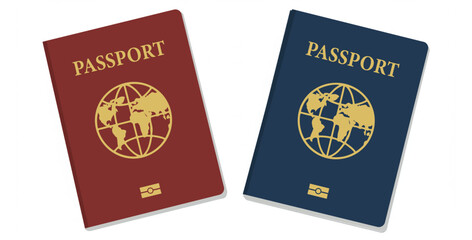 passport,travel,identity flat vector illustration of two official passports for international travel and identity document