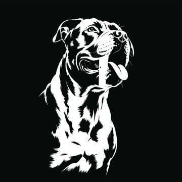 Dramatic Black and White Illustration of a Pit Bull