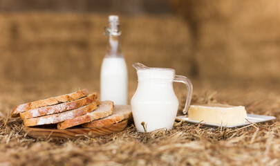milk in a jug, slices of wheat bread and butter on hay