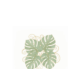 Monstera Botanical Pastel Composition