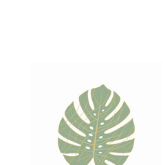 Pastel Monstera Leaf Luxury