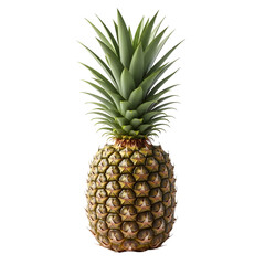 Fototapeta premium Isolated vibrant pineapple featuring a textured rind and spiky green crown set against a stark black backdrop for striking contrast