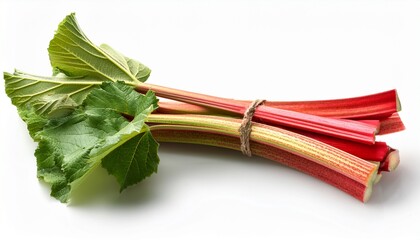 Bundle Of Rhubarb Isolated On White