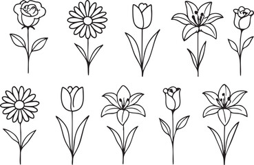 Botanical flower outline vector set with rose daisy lily tulip simple drawings