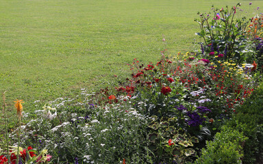Summer flower bed beside green lawn with dahlias, foxgloves, and others (Bavaria, Germany)