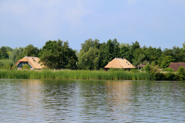 Thatch-roofed houses behind reeds by a lake, idyllic scene (Giethoorn, Netherlands)