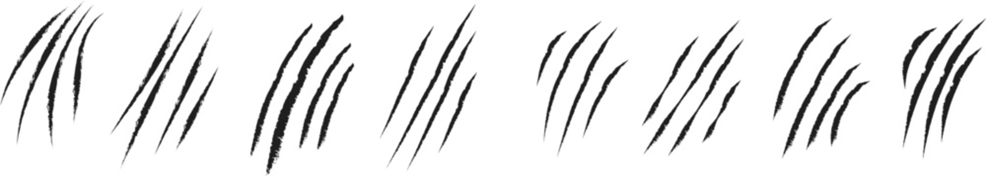 animal scratches mark set. domestic cat tiger claw scratches minimalist 