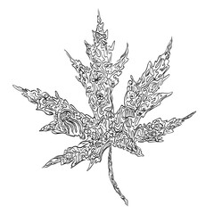 Silhouette intricate Line Art Maple Leaf of lace flowers, leaves, mushrooms, dots, monograms ink graphic. Vector graphic illustration. For the design of postcards, posters, stickers, prints, posters