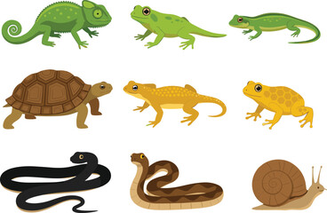 Obraz premium Cartoon reptiles, amphibians, and mollusks illustration with chameleon, frog, lizard, tortoise, snake, snail in colorful style for education use