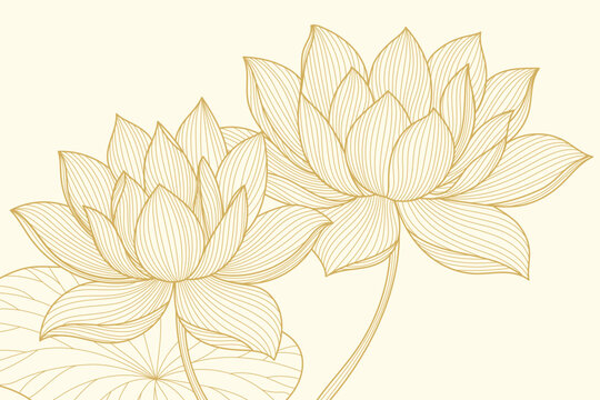 Gold line lotus flower and floral outline bloom for serene decor. Botanical minimalist and elegant art with lines by hand. Luxury lotus illustration for branding and invites or spa design.