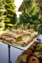 Mini Sandwiches at Outdoor Buffet: Summer Party