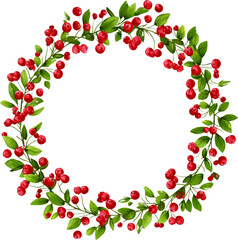 Obraz premium Festive christmas wreath with red berry and green leaf for holiday decoration