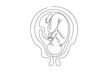 Continuous one line drawing Human embryo. Development of the human fetus. Pregnancy.Line art.One continuous line isolated illustration.Not AI.