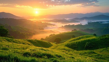 Aerial View of Rolling Green Hills Illuminated by Golden Sunrise Light Bathed in Warm Hues and Mist Covered Mountains in a Serene Landscape
