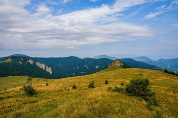 Scenic panoramic view of a grassy mountain ridge with scattered trees and rocky cliffs under a partly cloudy summer sky in the Carpathian Mountains., Velka Fatra