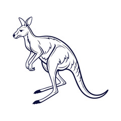 A detailed black and white sketch of a kangaroo standing on its hind legs