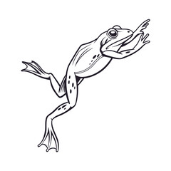Dynamic black and white illustration of a frog leaping with extended limbs
