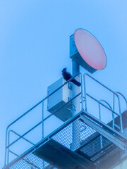 Minimal industrial platform and sign against blue sky | 青空に映えるミニマルなプラットフォーム