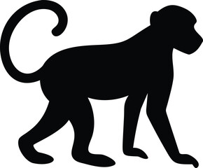 silhouette of a monkey