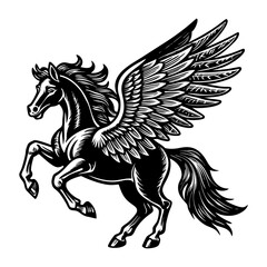 Fototapeta premium Pegasus