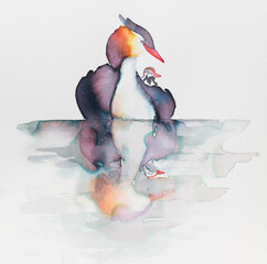 Colorful watercolor painting of a bird great crested grebe standing still on tranquil water