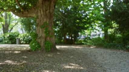 Blurred vibrant park scene with lush greenery, flowers, and large tree basked in sunlight, creating dreamy relaxed ambiance.