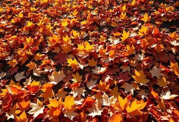 Crisp, vibrant autumn leaves scattered on the ground, sunlight filtering through,  leaves,  amber