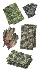 Different Types of Seaweed.